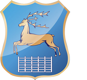 Белорусский герб – уникальный графический знак национальной идентичности